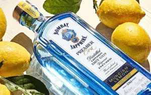 Ginebra Bombay Ginebra Bombay