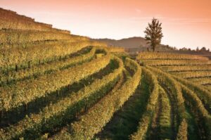 Global Malbec Masters Global Malbec Masters